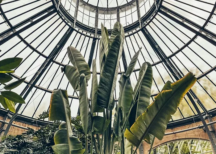 New! 2024 - The Canal Bridge 3*